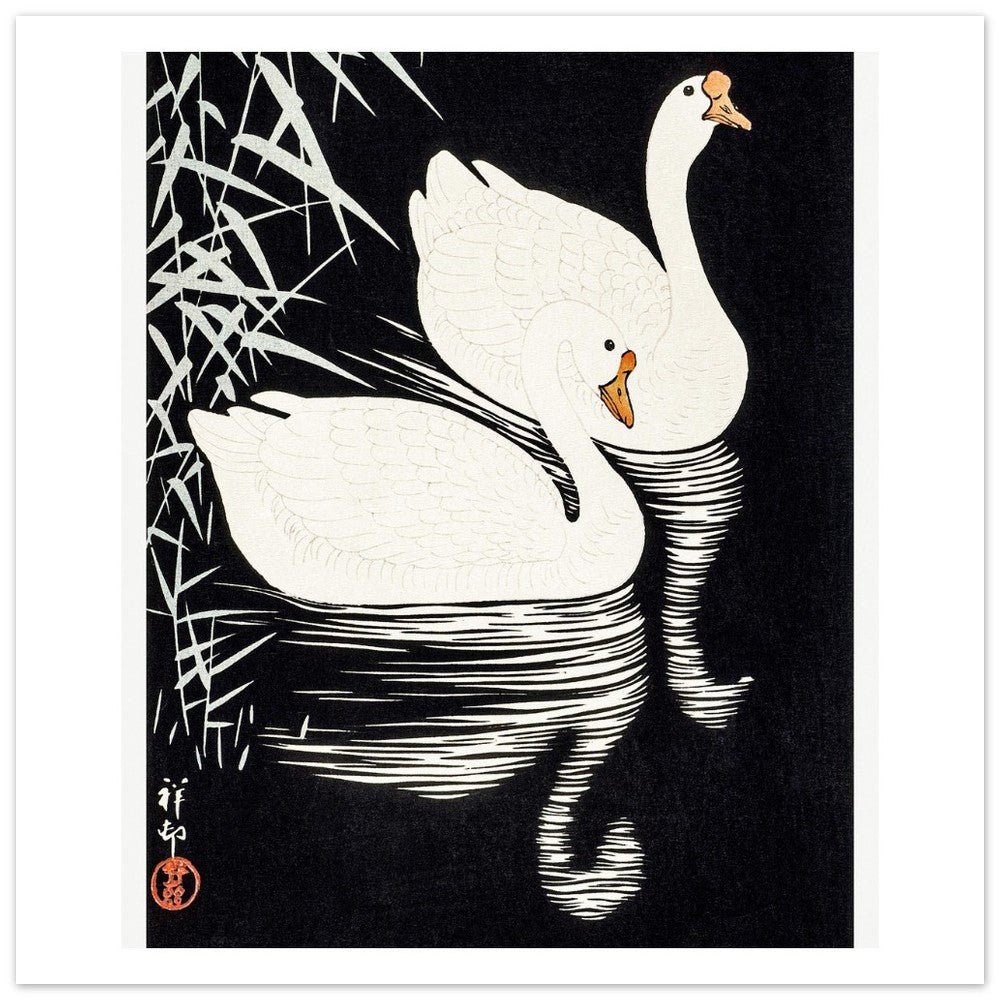 White Chinese Geese | Paper Poster - Lyrea