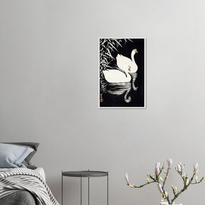 White Chinese Geese | Paper Poster - Lyrea