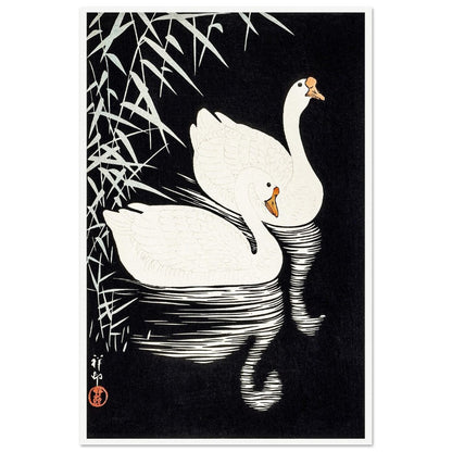 White Chinese Geese | Paper Poster - Lyrea