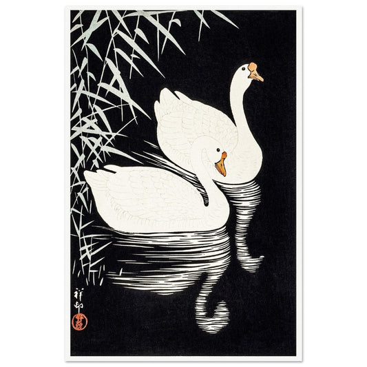 White Chinese Geese | Paper Poster - Lyrea
