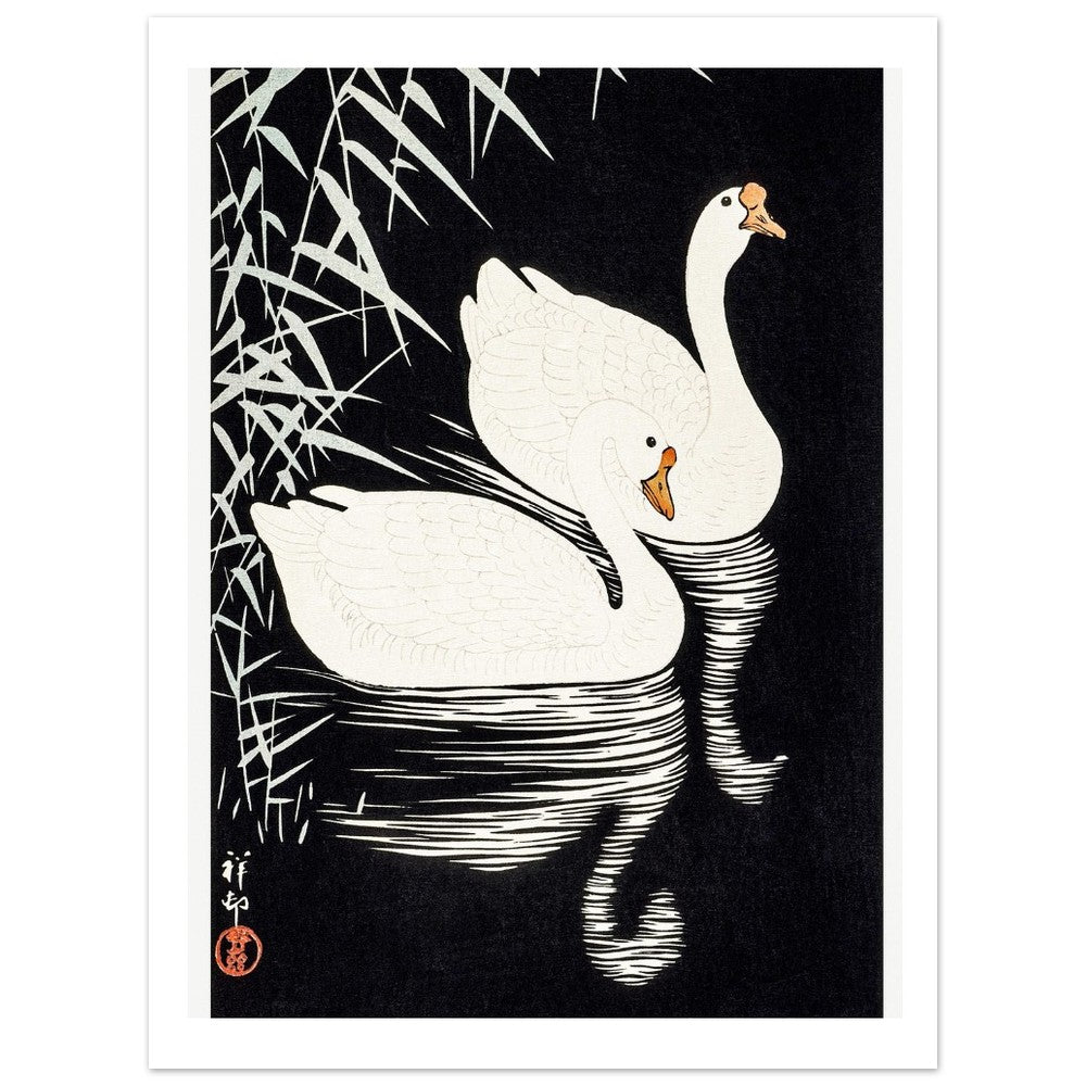 White Chinese Geese | Paper Poster - Lyrea