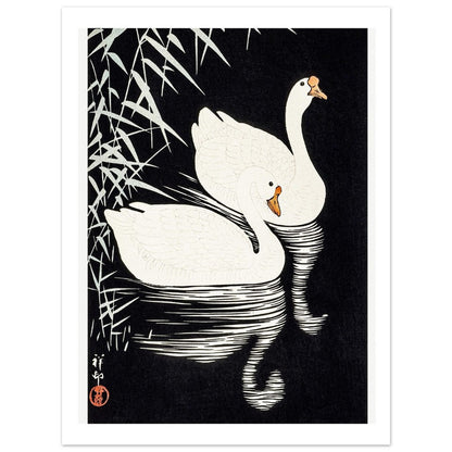 White Chinese Geese | Paper Poster - Lyrea