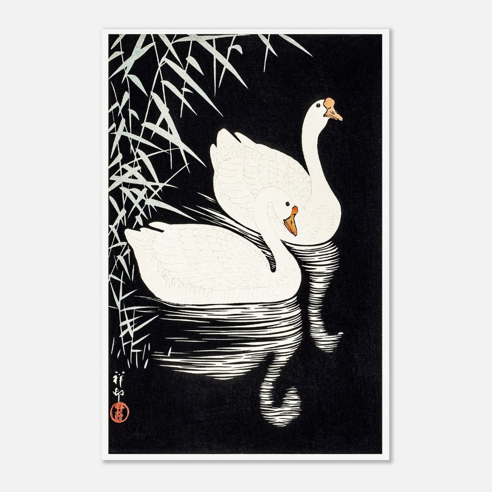 White Chinese Geese | Paper Poster - Lyrea