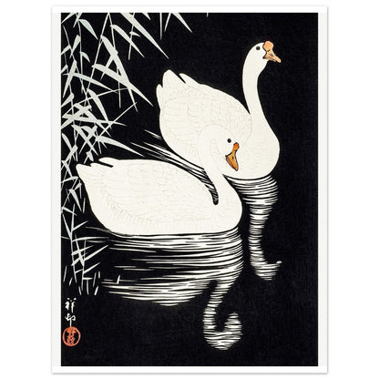 White Chinese Geese | Paper Poster - Lyrea