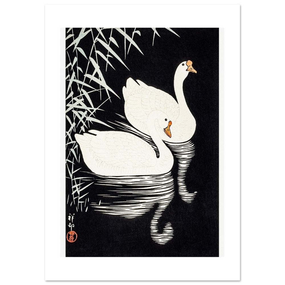 White Chinese Geese | Paper Poster - Lyrea