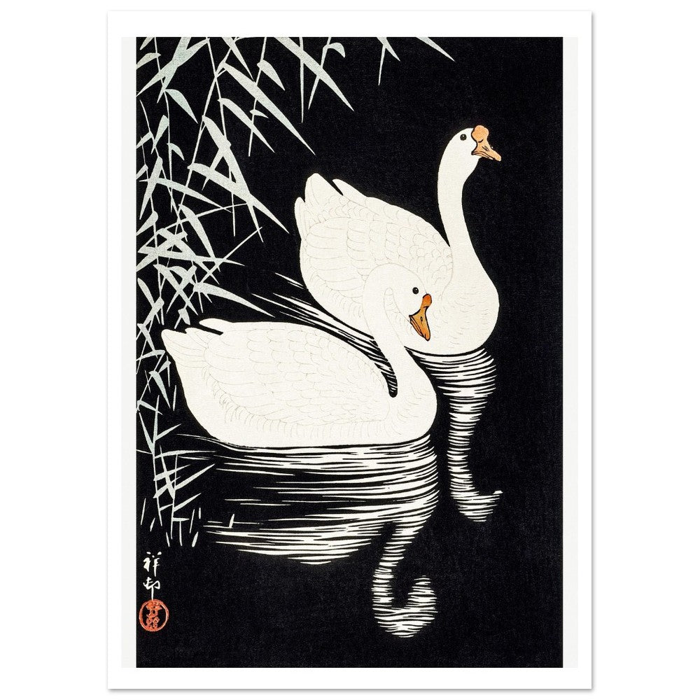 White Chinese Geese | Paper Poster - Lyrea