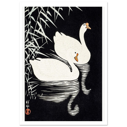 White Chinese Geese | Paper Poster - Lyrea