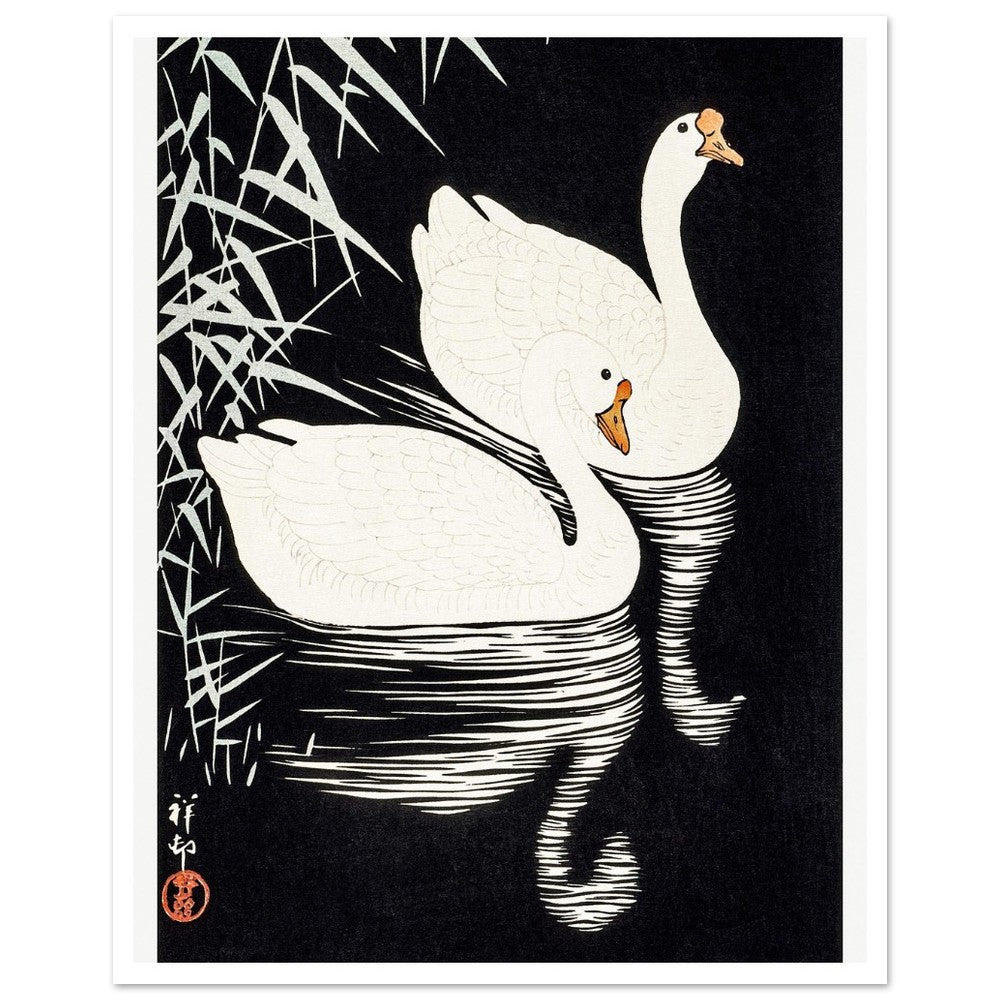 White Chinese Geese | Paper Poster - Lyrea
