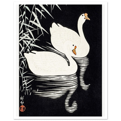 White Chinese Geese | Paper Poster - Lyrea
