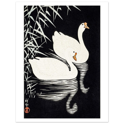 White Chinese Geese | Paper Poster - Lyrea