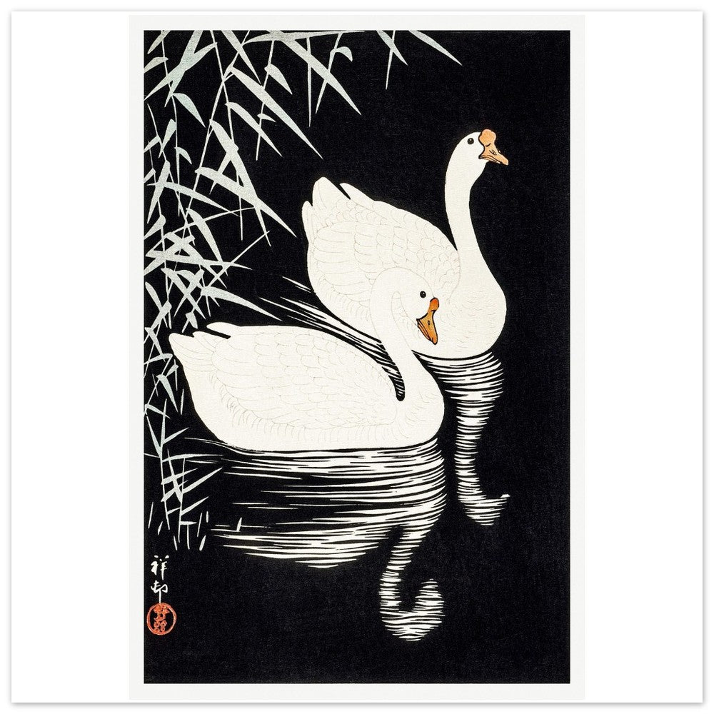 White Chinese Geese | Paper Poster - Lyrea