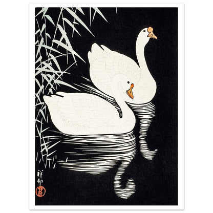 White Chinese Geese | Paper Poster - Lyrea