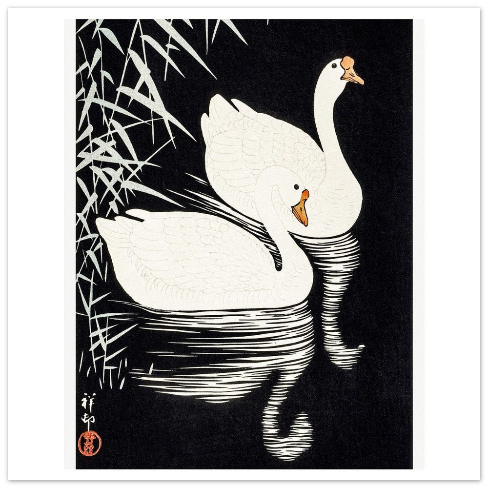 White Chinese Geese | Paper Poster - Lyrea
