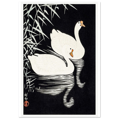 White Chinese Geese | Paper Poster - Lyrea
