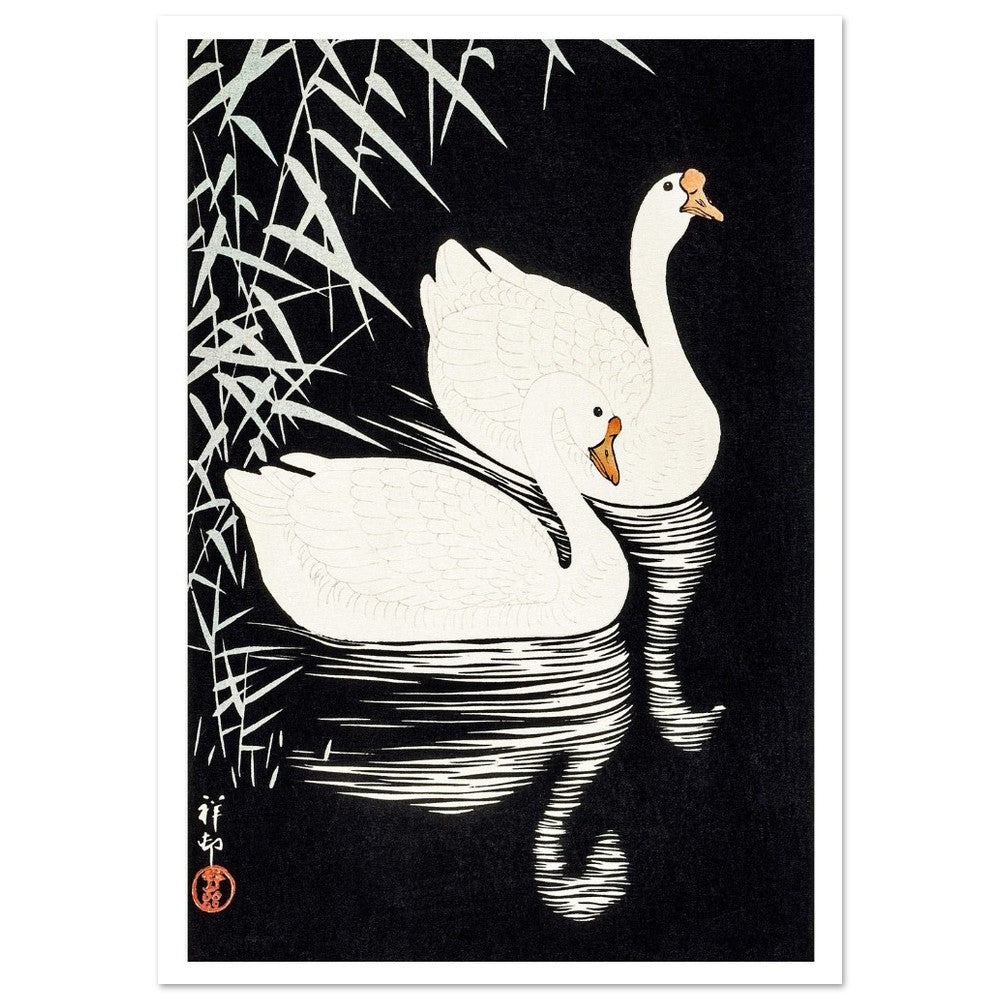 White Chinese Geese | Paper Poster - Lyrea