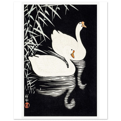 White Chinese Geese | Paper Poster - Lyrea