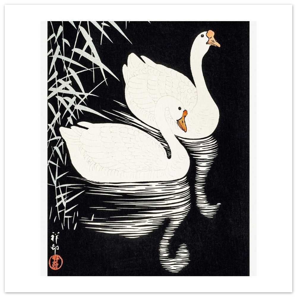 White Chinese Geese | Paper Poster - Lyrea