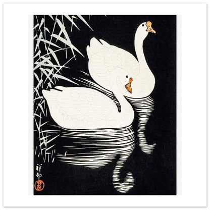 White Chinese Geese | Paper Poster - Lyrea