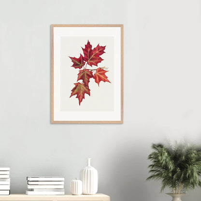 Wooden Framed Print | Autumn Leaves - Lyrea