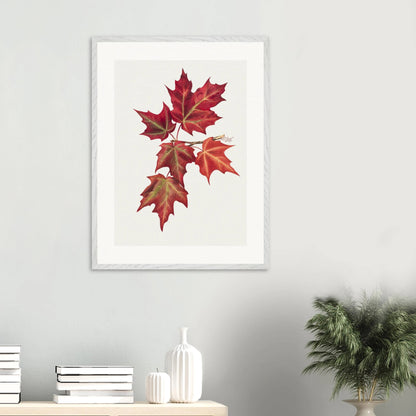 Wooden Framed Print | Autumn Leaves - Lyrea