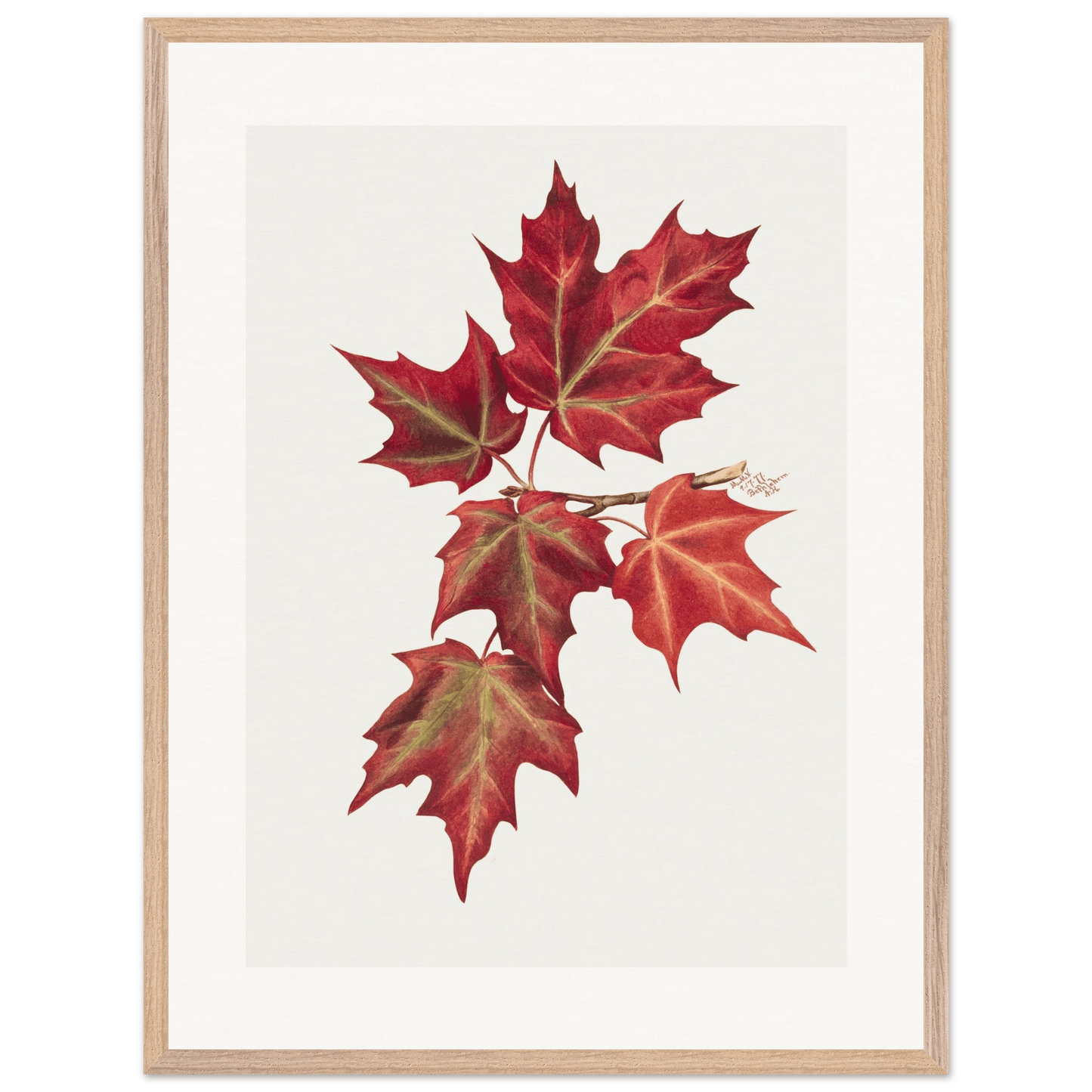 Wooden Framed Print | Autumn Leaves - Lyrea