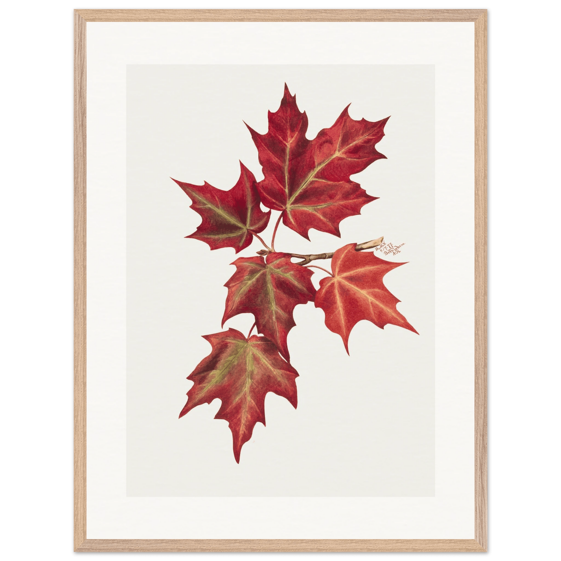 Wooden Framed Print | Autumn Leaves - Lyrea