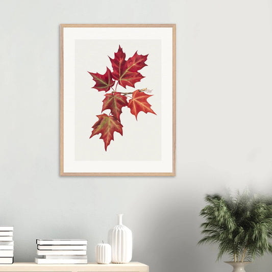 Wooden Framed Print | Autumn Leaves - Lyrea