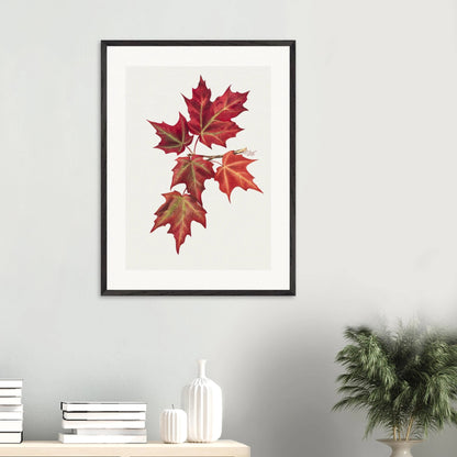 Wooden Framed Print | Autumn Leaves - Lyrea