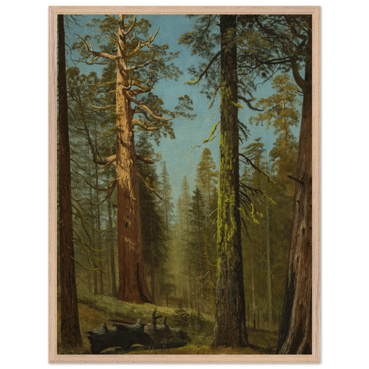 Wooden Framed Print | The Grizzly Giant Sequoia - Lyrea