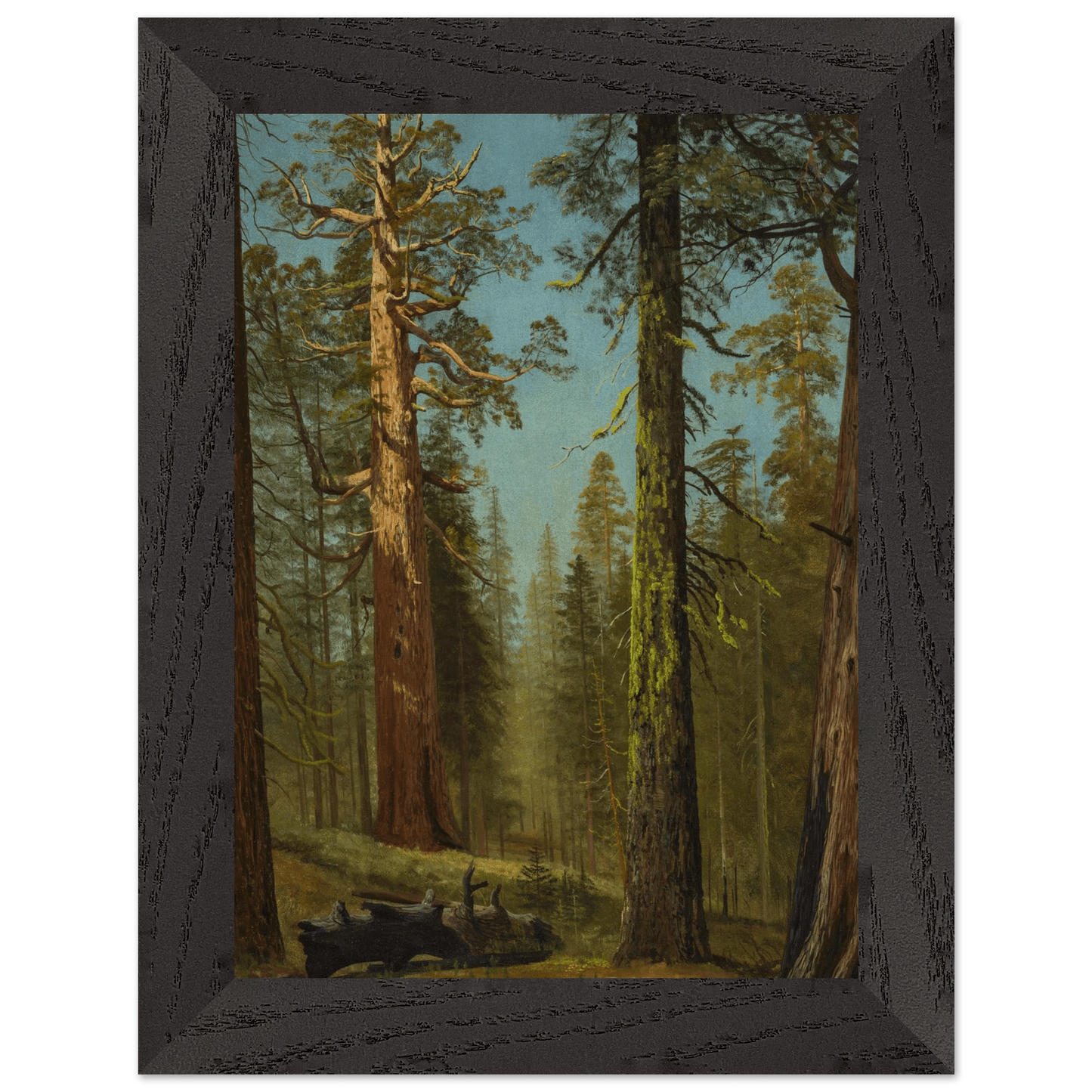 Wooden Framed Print | The Grizzly Giant Sequoia - Lyrea