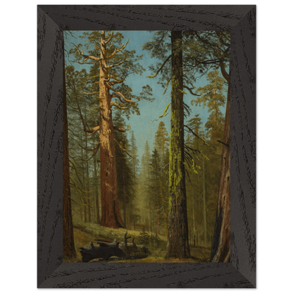 Wooden Framed Print | The Grizzly Giant Sequoia - Lyrea