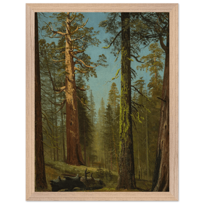 Wooden Framed Print | The Grizzly Giant Sequoia - Lyrea