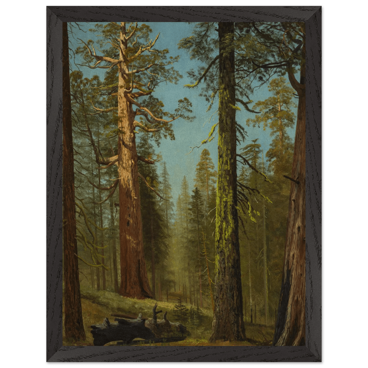 Wooden Framed Print | The Grizzly Giant Sequoia - Lyrea