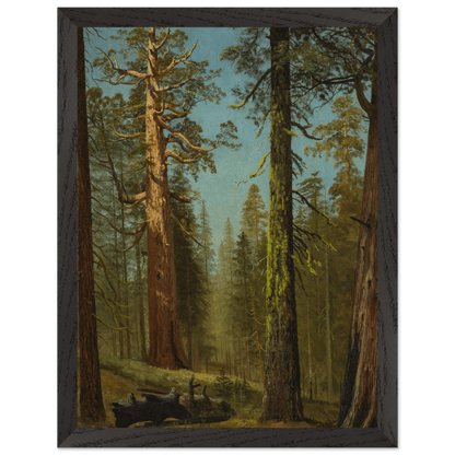 Wooden Framed Print | The Grizzly Giant Sequoia - Lyrea