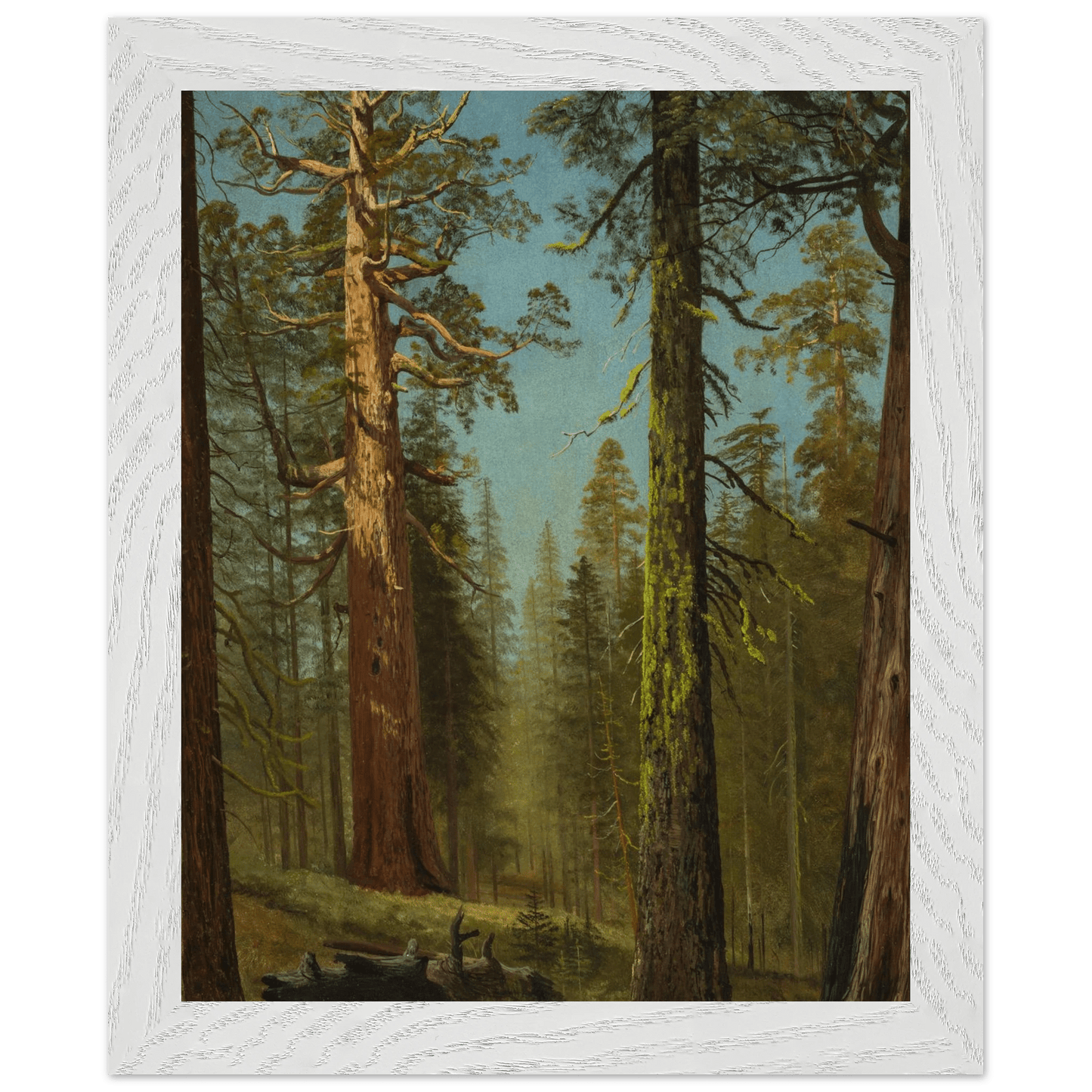 Wooden Framed Print | The Grizzly Giant Sequoia - Lyrea