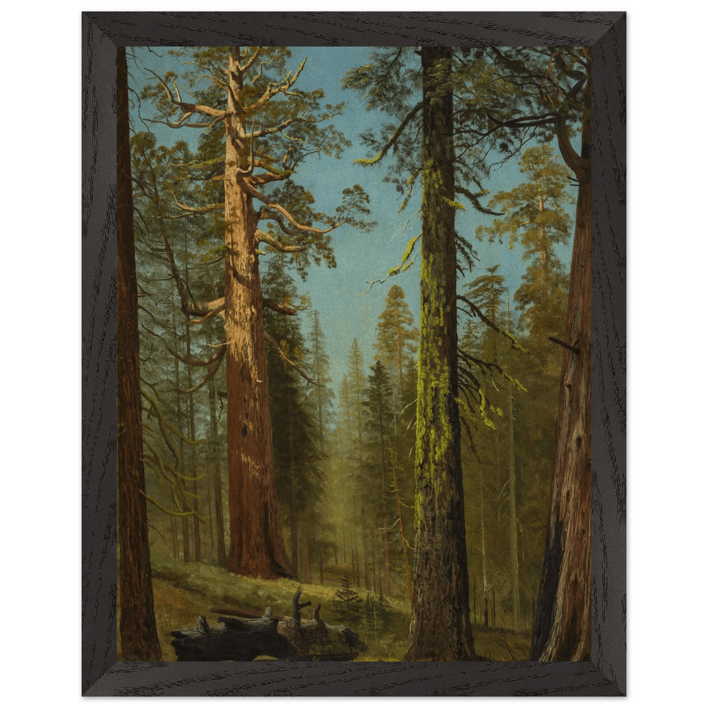 Wooden Framed Print | The Grizzly Giant Sequoia - Lyrea