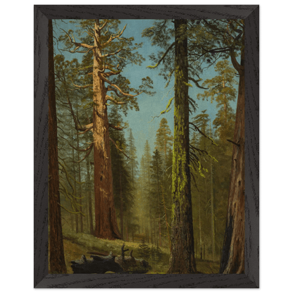 Wooden Framed Print | The Grizzly Giant Sequoia - Lyrea