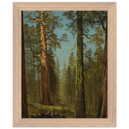 Wooden Framed Print | The Grizzly Giant Sequoia - Lyrea