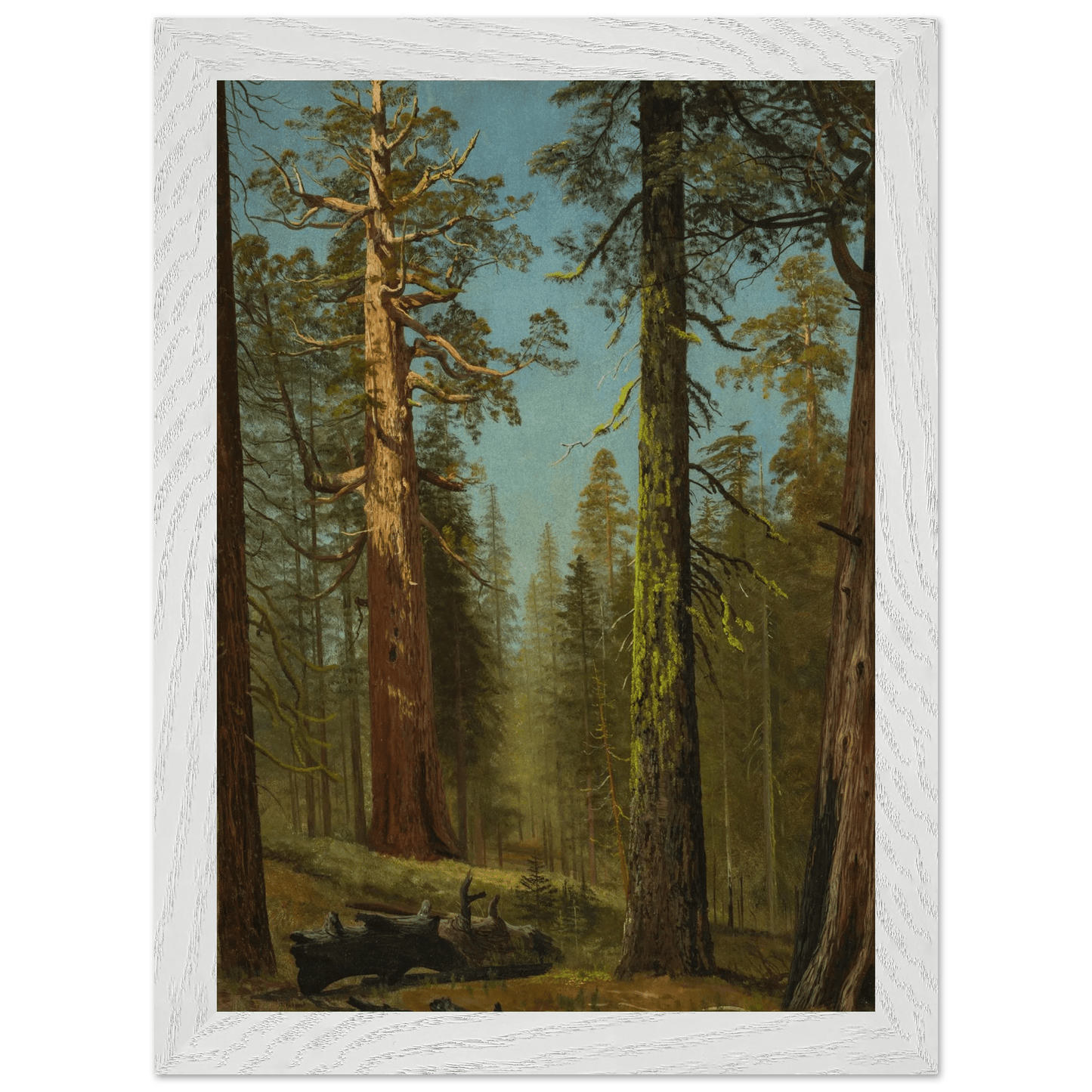 Wooden Framed Print | The Grizzly Giant Sequoia - Lyrea
