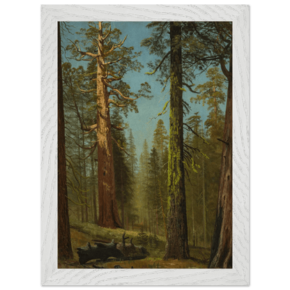 Wooden Framed Print | The Grizzly Giant Sequoia - Lyrea