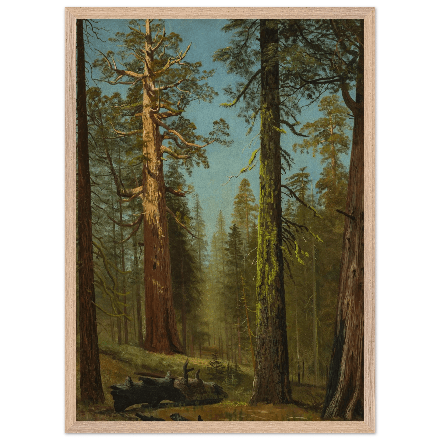 Wooden Framed Print | The Grizzly Giant Sequoia - Lyrea