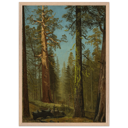 Wooden Framed Print | The Grizzly Giant Sequoia - Lyrea