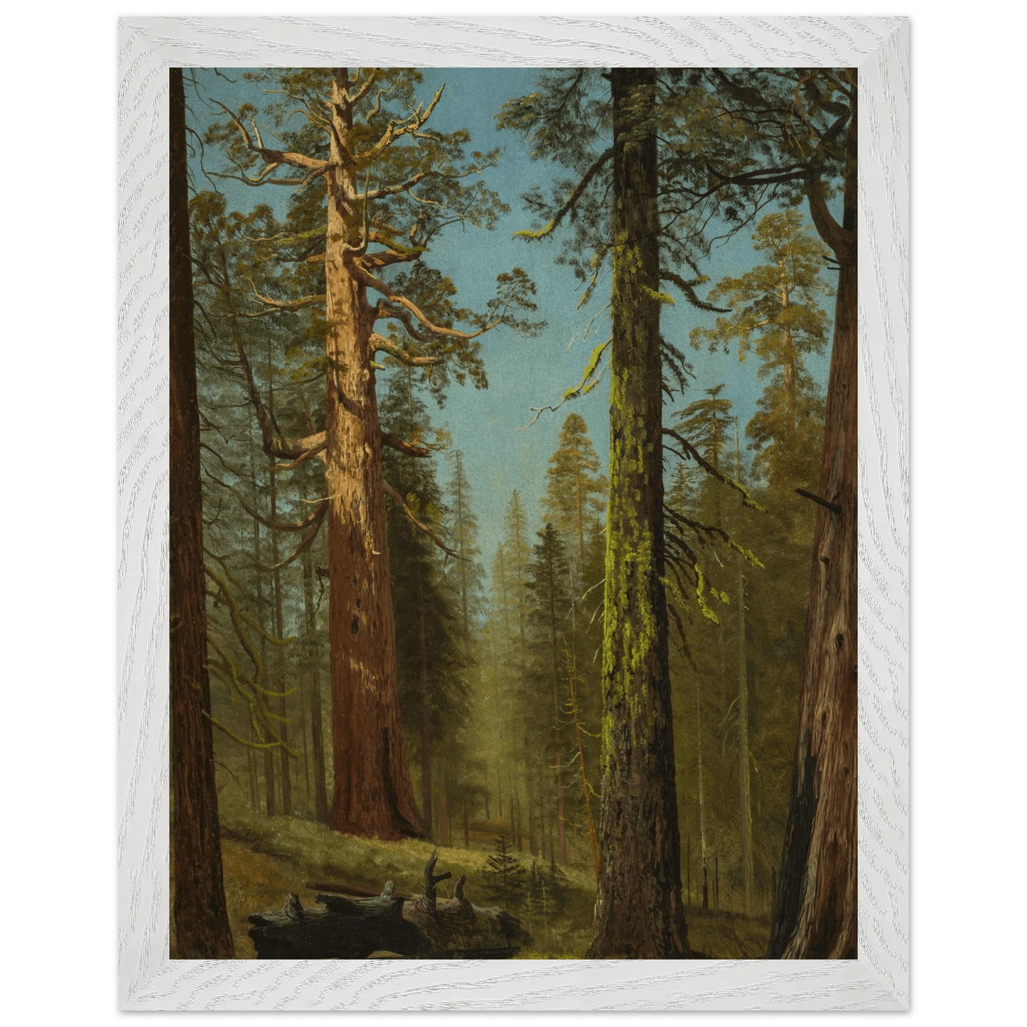 Wooden Framed Print | The Grizzly Giant Sequoia - Lyrea