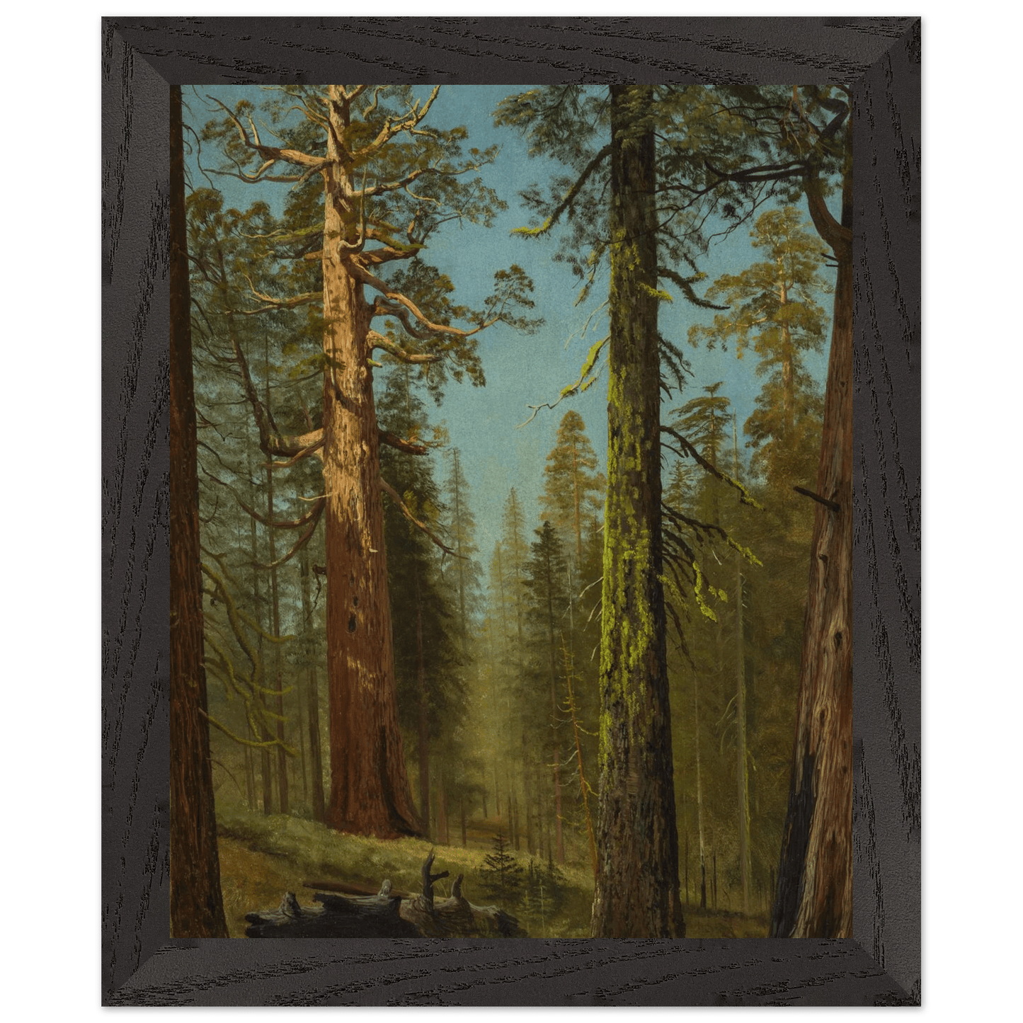 Wooden Framed Print | The Grizzly Giant Sequoia - Lyrea
