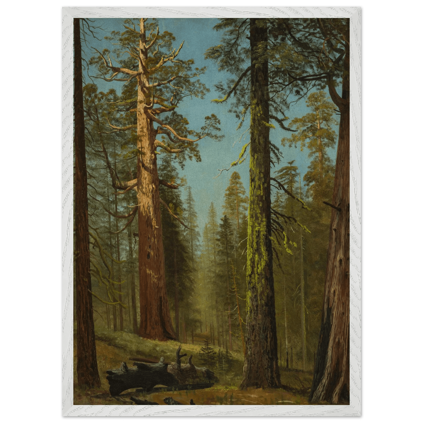 Wooden Framed Print | The Grizzly Giant Sequoia - Lyrea