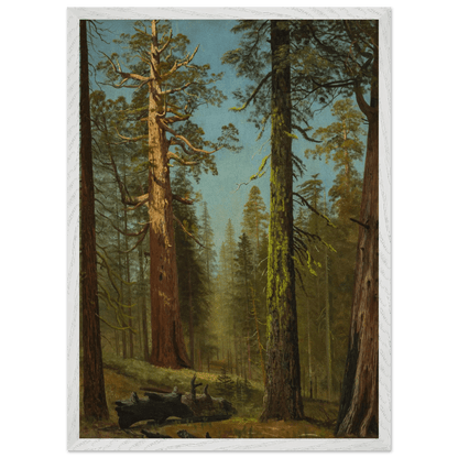 Wooden Framed Print | The Grizzly Giant Sequoia - Lyrea