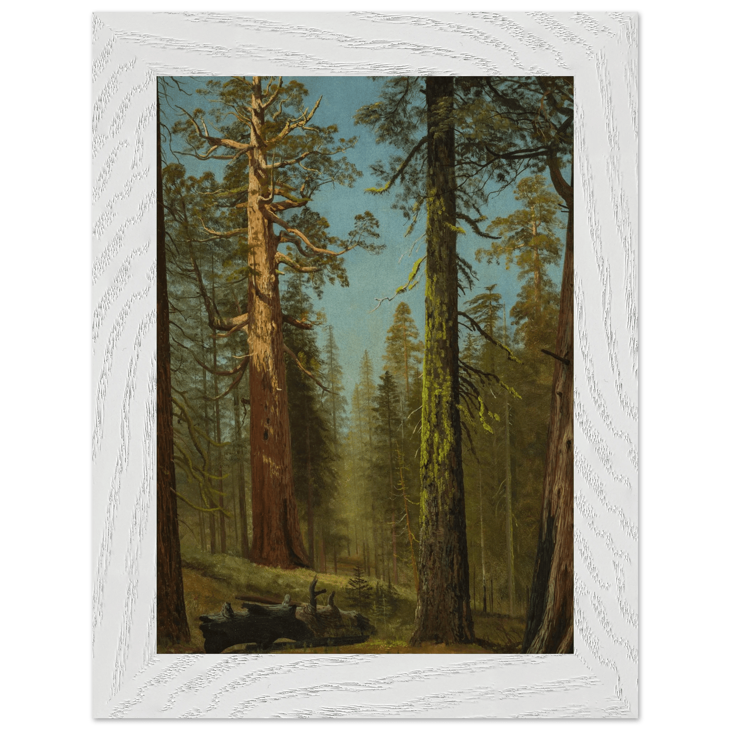 Wooden Framed Print | The Grizzly Giant Sequoia - Lyrea