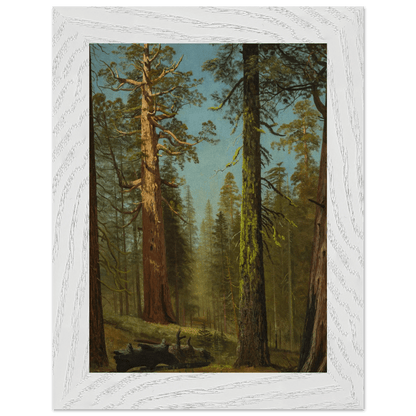 Wooden Framed Print | The Grizzly Giant Sequoia - Lyrea