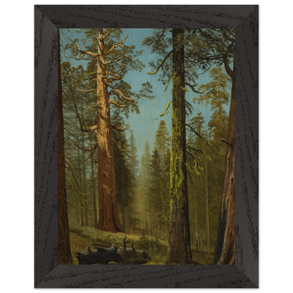 Wooden Framed Print | The Grizzly Giant Sequoia - Lyrea