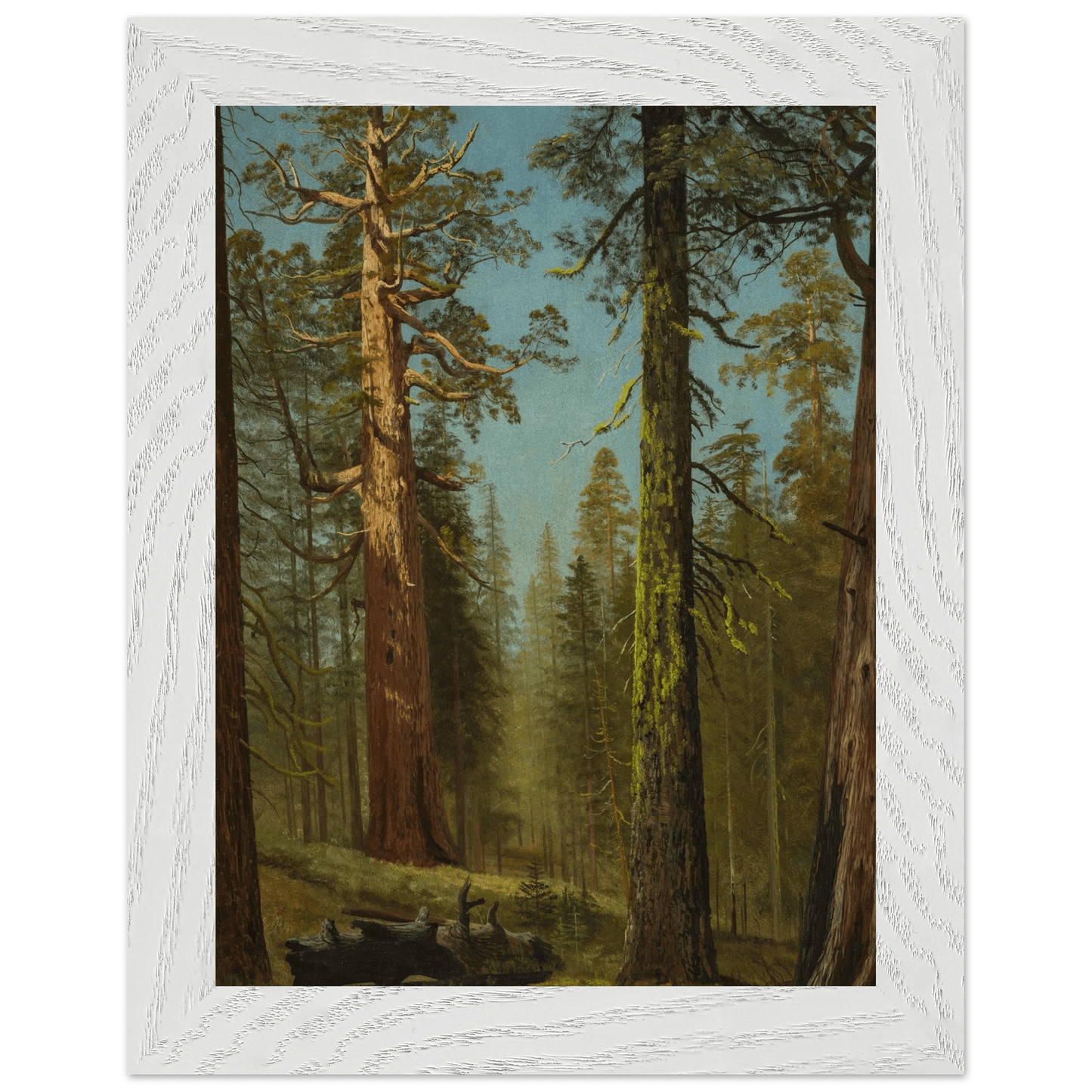 Wooden Framed Print | The Grizzly Giant Sequoia - Lyrea